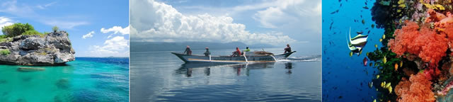 Snorkeling at Pescador Island - Group snorkeling packages available ...