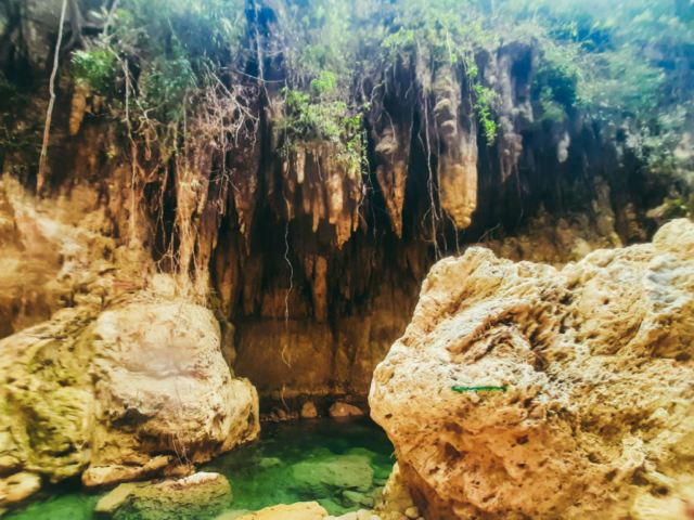 Kawasan Falls Canyoneering